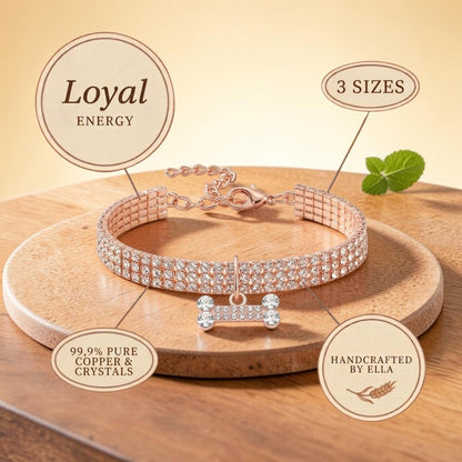 Ella's Loyal Copper Dog Collar