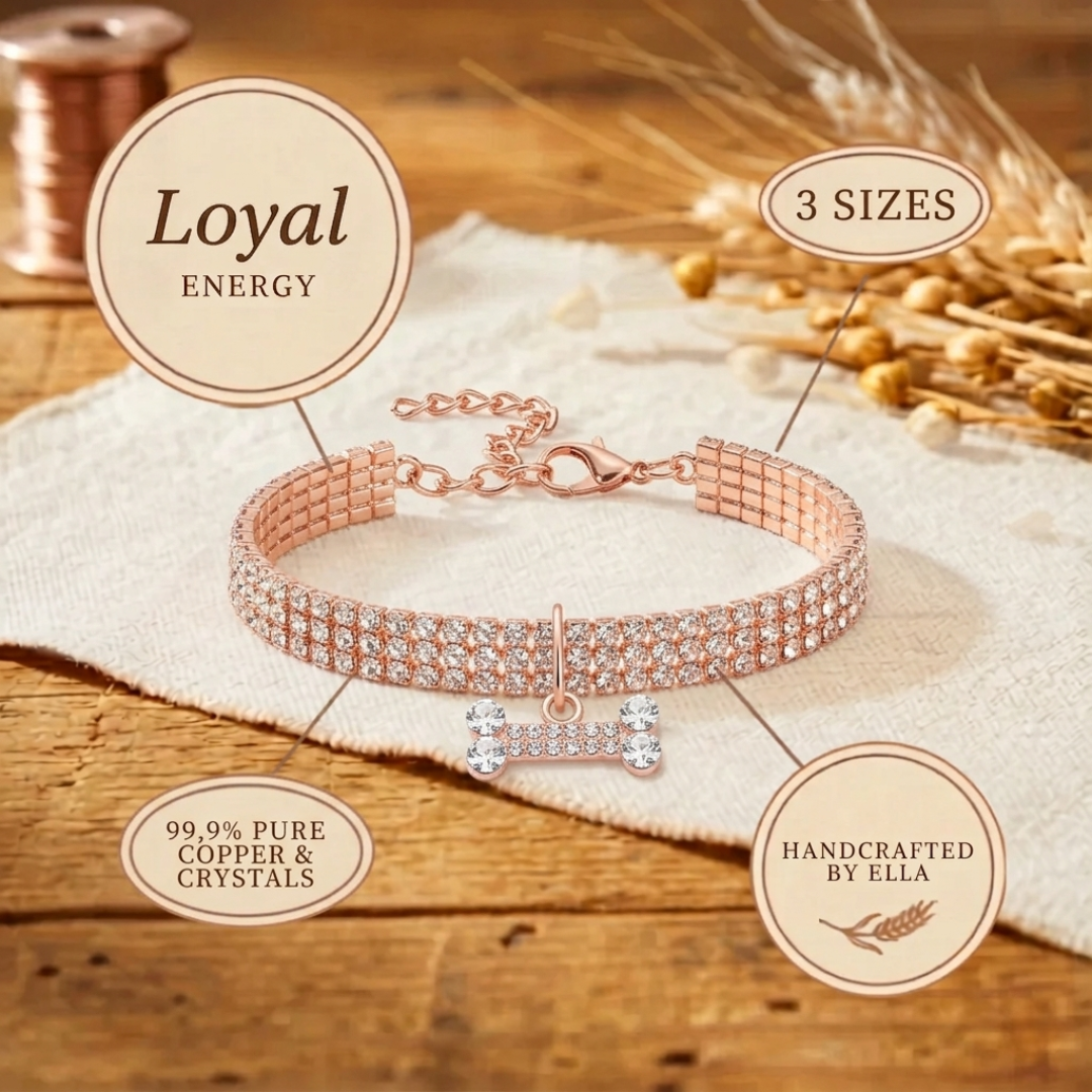 Ella's Loyal Copper Dog Collar