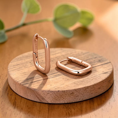 Ella's Clasp Copper Earrings